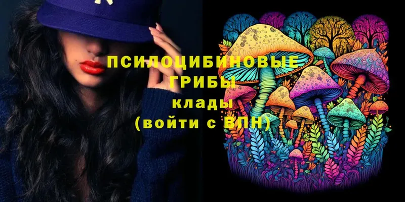 это клад  omg ссылка  Бутурлиновка  Псилоцибиновые грибы Cubensis 